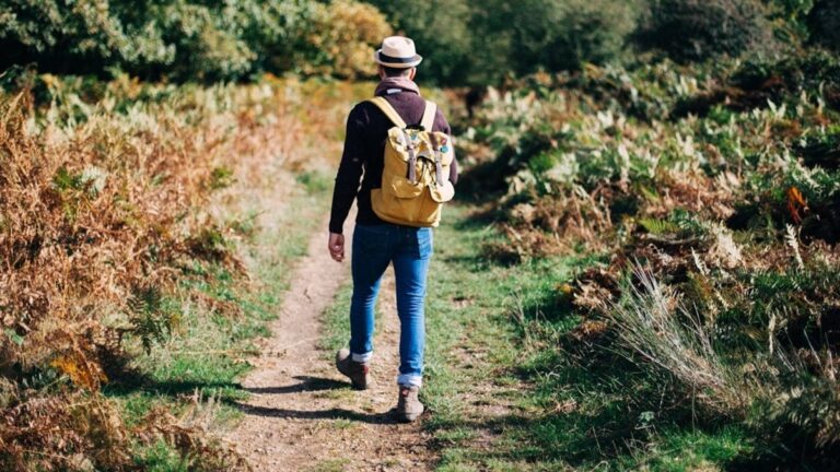 step-to-miles-calculator